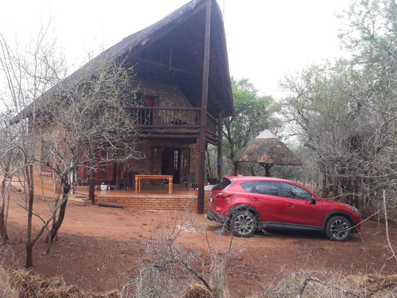 Willa Little Bush Baby Marloth Park Zewnętrze zdjęcie